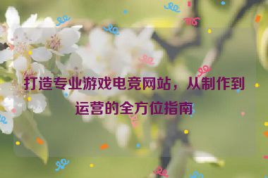 打造專業(yè)游戲電競(jìng)網(wǎng)站，從制作到運(yùn)營(yíng)的全方位指南