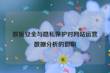 數據安全與隱私保護對網站運營數據分析的影響