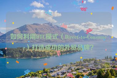 如何利用DTC模式（Direct-to-Consumer）打造成功的外貿品牌？