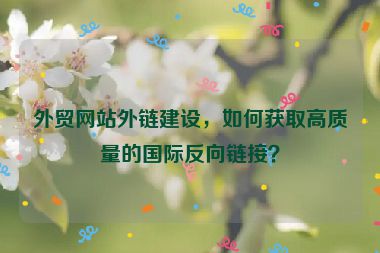 外貿(mào)網(wǎng)站外鏈建設，如何獲取高質量的國際反向鏈接？