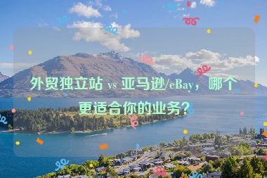 外貿(mào)獨立站 vs 亞馬遜/eBay，哪個更適合你的業(yè)務？
