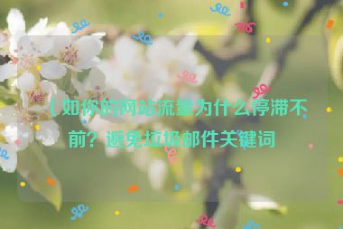（如你的網站流量為什么停滯不前？避免垃圾郵件關鍵詞