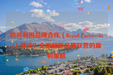 如何利用品牌合作（Brand Partnership）賺錢？全面解析品牌聯(lián)營的盈利策略