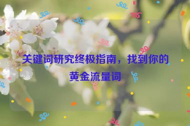 關(guān)鍵詞研究終極指南，找到你的黃金流量詞