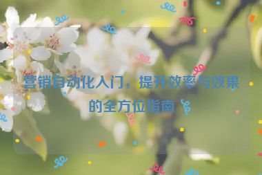 營銷自動化入門，提升效率與效果的全方位指南