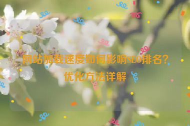 網站加載速度如何影響SEO排名？優化方法詳解