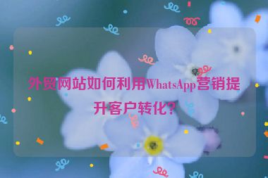 外貿網站如何利用WhatsApp營銷提升客戶轉化？