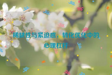 稀缺性與緊迫感，轉(zhuǎn)化優(yōu)化中的心理杠桿