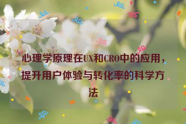 心理學(xué)原理在UX和CRO中的應(yīng)用，提升用戶體驗(yàn)與轉(zhuǎn)化率的科學(xué)方法