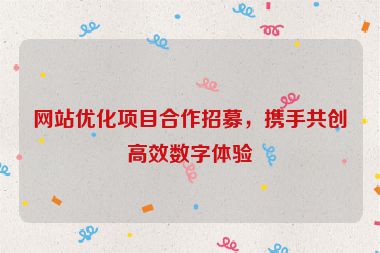 網(wǎng)站優(yōu)化項(xiàng)目合作招募，攜手共創(chuàng)高效數(shù)字體驗(yàn)