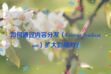 如何通過內(nèi)容分發(fā)（Content Syndication）擴大影響力？