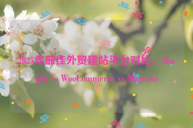 2025年最佳外貿(mào)建站平臺對比，Shopify vs WooCommerce vs Magento