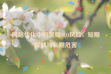 網(wǎng)站優(yōu)化中的黑帽SEO風(fēng)險(xiǎn)，短期收益與長(zhǎng)期危害