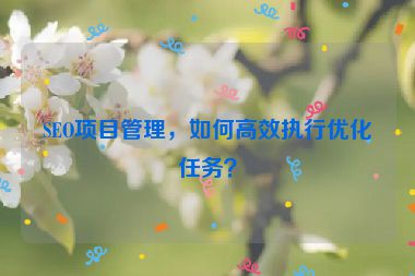 SEO項目管理，如何高效執行優化任務？