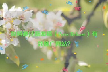 如何通過新聞稿（Press Release）有效推廣網站？