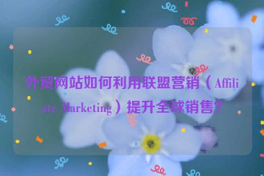外貿網站如何利用聯盟營銷（Affiliate Marketing）提升全球銷售？