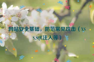 網站安全基礎，防范常見攻擊（XSS,SQL注入等）