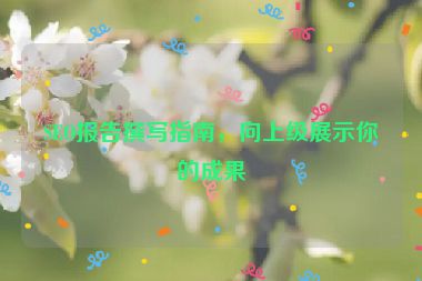 SEO報(bào)告撰寫指南，向上級(jí)展示你的成果