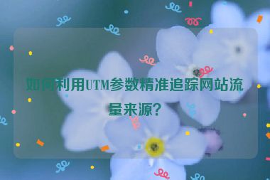 如何利用UTM參數(shù)精準(zhǔn)追蹤網(wǎng)站流量來源？