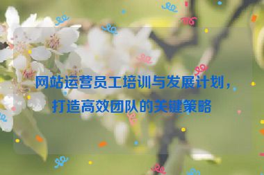 網站運營員工培訓與發展計劃，打造高效團隊的關鍵策略