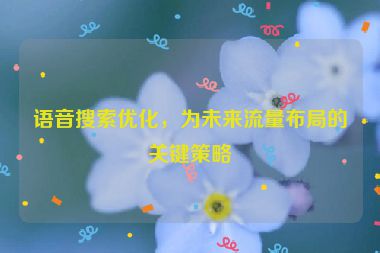 語音搜索優(yōu)化，為未來流量布局的關(guān)鍵策略
