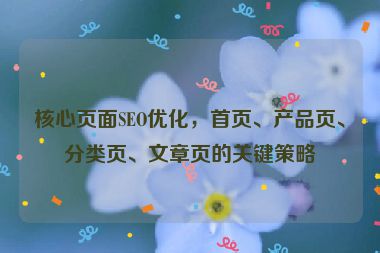 核心頁(yè)面SEO優(yōu)化，首頁(yè)、產(chǎn)品頁(yè)、分類頁(yè)、文章頁(yè)的關(guān)鍵策略