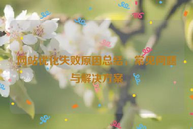 網(wǎng)站優(yōu)化失敗原因總結(jié)，常見問題與解決方案