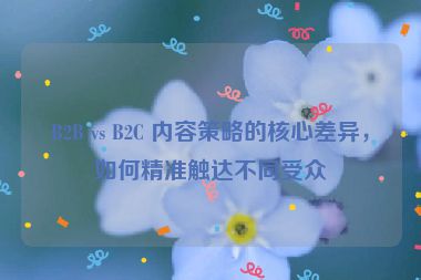 B2B vs B2C 內容策略的核心差異，如何精準觸達不同受眾