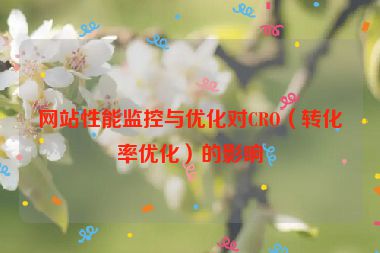 網(wǎng)站性能監(jiān)控與優(yōu)化對(duì)CRO（轉(zhuǎn)化率優(yōu)化）的影響