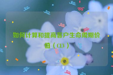 如何計(jì)算和提高客戶生命周期價(jià)值（CLV）