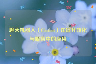 聊天機(jī)器人（Chatbot）在提升轉(zhuǎn)化與服務(wù)中的應(yīng)用