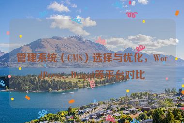 管理系統（CMS）選擇與優化，WordPress、Drupal等平臺對比
