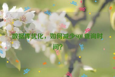 數據庫優化，如何減少SQL查詢時間？