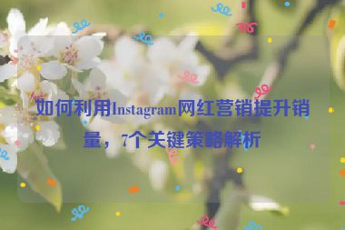 如何利用Instagram網(wǎng)紅營銷提升銷量，7個關(guān)鍵策略解析