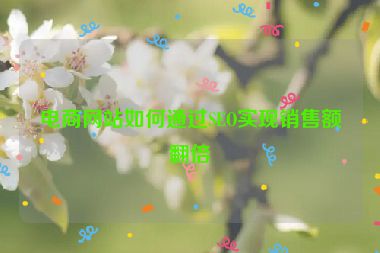 電商網(wǎng)站如何通過SEO實現(xiàn)銷售額翻倍
