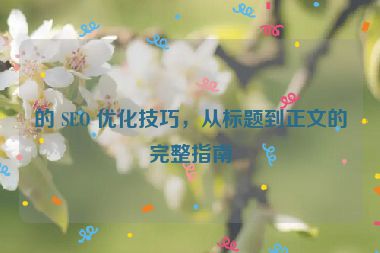 的 SEO 優化技巧，從標題到正文的完整指南