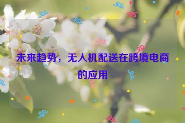 未來趨勢，無人機配送在跨境電商的應用