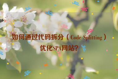 如何通過代碼拆分（Code Splitting）優化SPA網站？