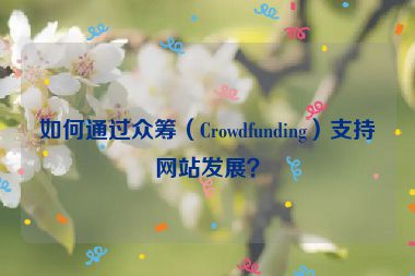 如何通過眾籌（Crowdfunding）支持網(wǎng)站發(fā)展？