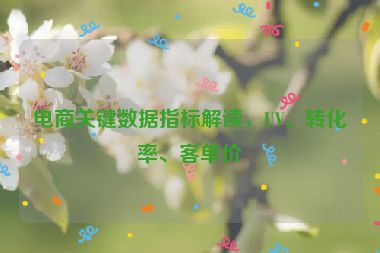 電商關(guān)鍵數(shù)據(jù)指標解讀，UV、轉(zhuǎn)化率、客單價