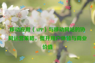 移動應用（APP）與移動網站的協同運營策略，提升用戶體驗與商業價值