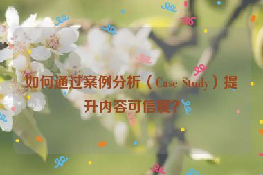 如何通過案例分析（Case Study）提升內容可信度？