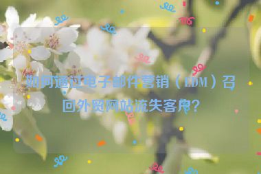 如何通過電子郵件營銷（EDM）召回外貿網站流失客戶？