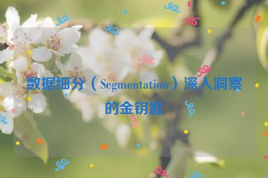數據細分（Segmentation）深入洞察的金鑰匙