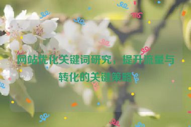 網(wǎng)站優(yōu)化關(guān)鍵詞研究，提升流量與轉(zhuǎn)化的關(guān)鍵策略