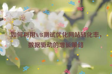 如何利用A/B測試優(yōu)化網(wǎng)站轉(zhuǎn)化率，數(shù)據(jù)驅(qū)動的增長策略
