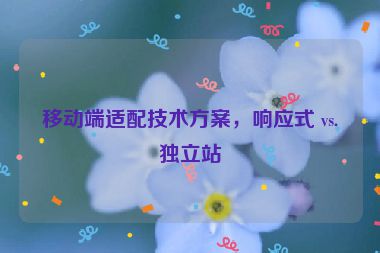 移動端適配技術方案，響應式 vs.獨立站