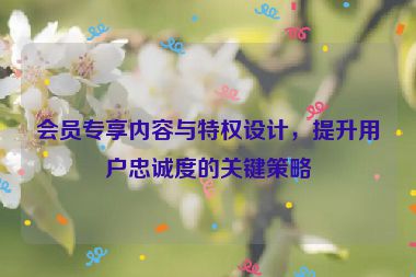 會(huì)員專享內(nèi)容與特權(quán)設(shè)計(jì)，提升用戶忠誠(chéng)度的關(guān)鍵策略
