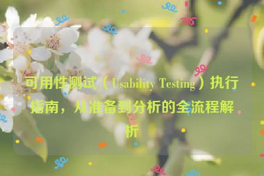 可用性測(cè)試（Usability Testing）執(zhí)行指南，從準(zhǔn)備到分析的全流程解析