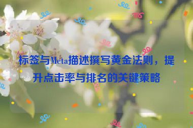 標(biāo)簽與Meta描述撰寫黃金法則，提升點(diǎn)擊率與排名的關(guān)鍵策略
